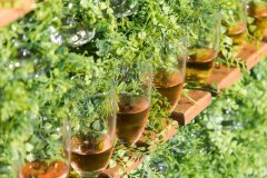 ArborLaneStudios_Edits-8