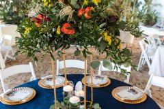 ArborLaneStudios_Edits-45