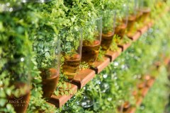 ArborLaneStudios_Edits-7