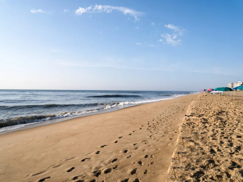 The Beach 2 scaled e1661268092555